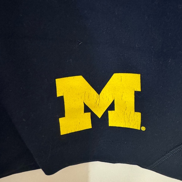 Lululemon Michigan align tank - Picture 3 of 3